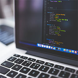 蘑菇视频电脑版到底怎么选，越是冷门越需要有人讲透，这一下总算说到点子上了