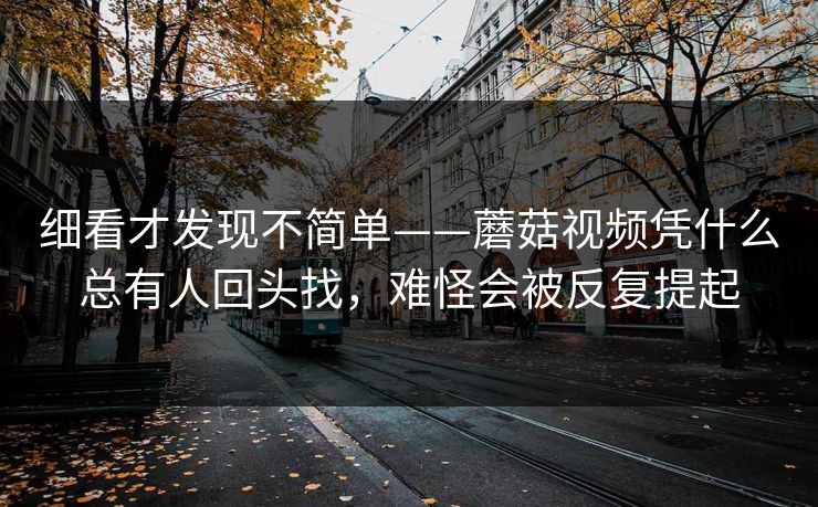 细看才发现不简单——蘑菇视频凭什么总有人回头找，难怪会被反复提起