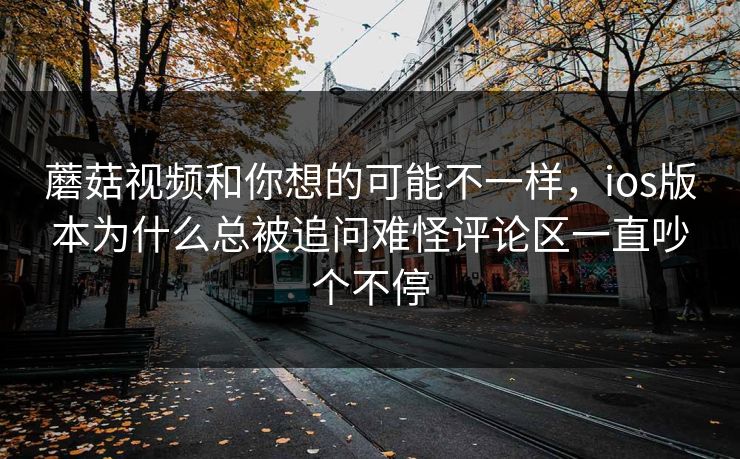 蘑菇视频和你想的可能不一样，ios版本为什么总被追问难怪评论区一直吵个不停