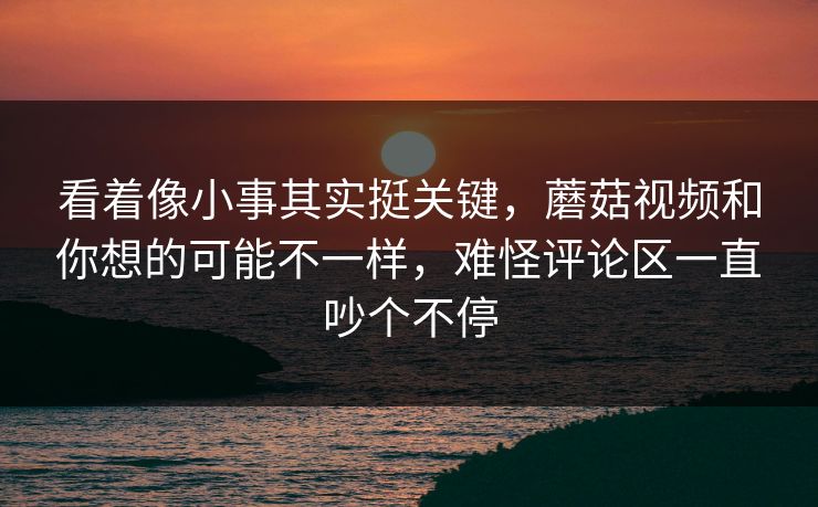 看着像小事其实挺关键，蘑菇视频和你想的可能不一样，难怪评论区一直吵个不停