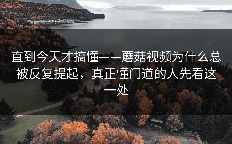 直到今天才搞懂——蘑菇视频为什么总被反复提起，真正懂门道的人先看这一处