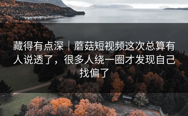 藏得有点深｜蘑菇短视频这次总算有人说透了，很多人绕一圈才发现自己找偏了