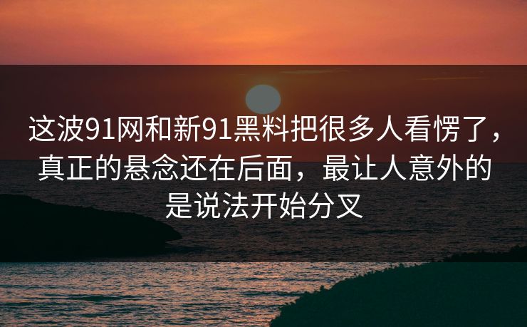 这波91网和新91黑料把很多人看愣了，真正的悬念还在后面，最让人意外的是说法开始分叉