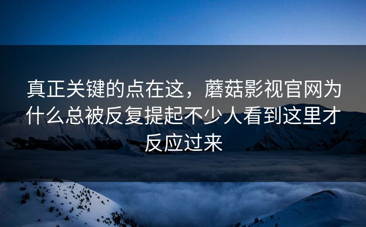 真正关键的点在这，蘑菇影视官网为什么总被反复提起不少人看到这里才反应过来