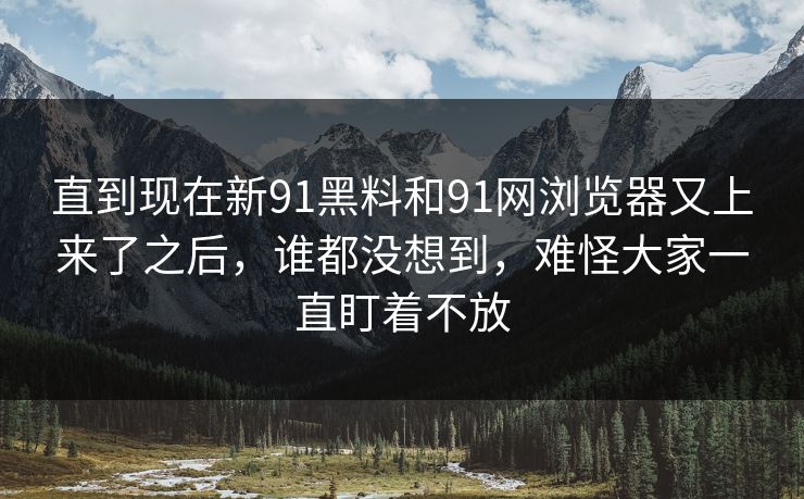 直到现在新91黑料和91网浏览器又上来了之后，谁都没想到，难怪大家一直盯着不放