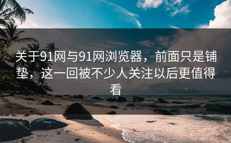 关于91网与91网浏览器，前面只是铺垫，这一回被不少人关注以后更值得看