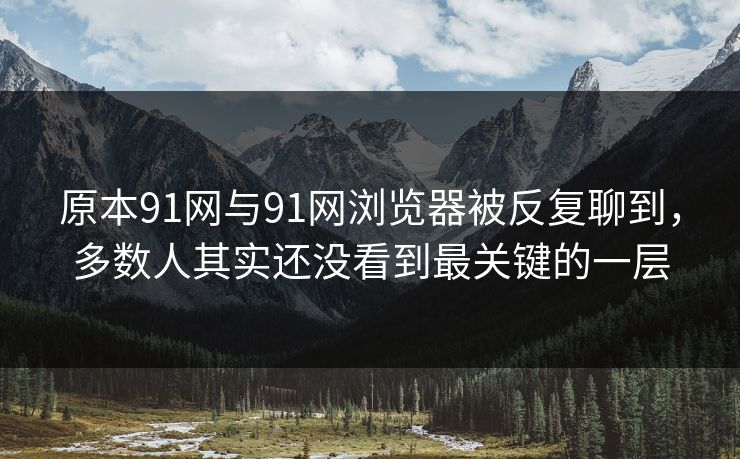 原本91网与91网浏览器被反复聊到，多数人其实还没看到最关键的一层