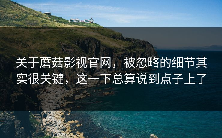 关于蘑菇影视官网，被忽略的细节其实很关键，这一下总算说到点子上了