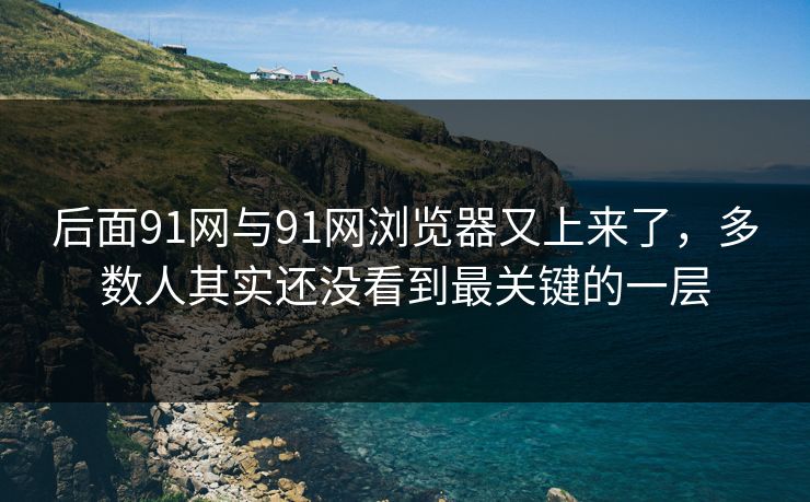 后面91网与91网浏览器又上来了，多数人其实还没看到最关键的一层