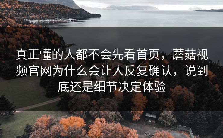 真正懂的人都不会先看首页，蘑菇视频官网为什么会让人反复确认，说到底还是细节决定体验