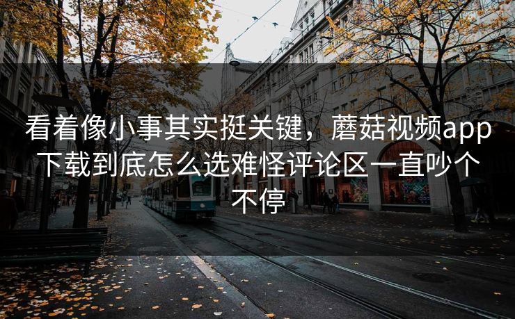 看着像小事其实挺关键，蘑菇视频app下载到底怎么选难怪评论区一直吵个不停