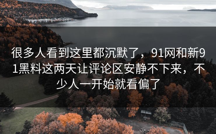 很多人看到这里都沉默了，91网和新91黑料这两天让评论区安静不下来，不少人一开始就看偏了