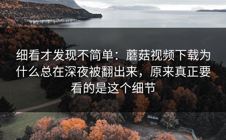 细看才发现不简单：蘑菇视频下载为什么总在深夜被翻出来，原来真正要看的是这个细节