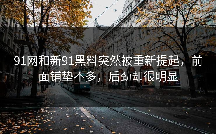 91网和新91黑料突然被重新提起，前面铺垫不多，后劲却很明显